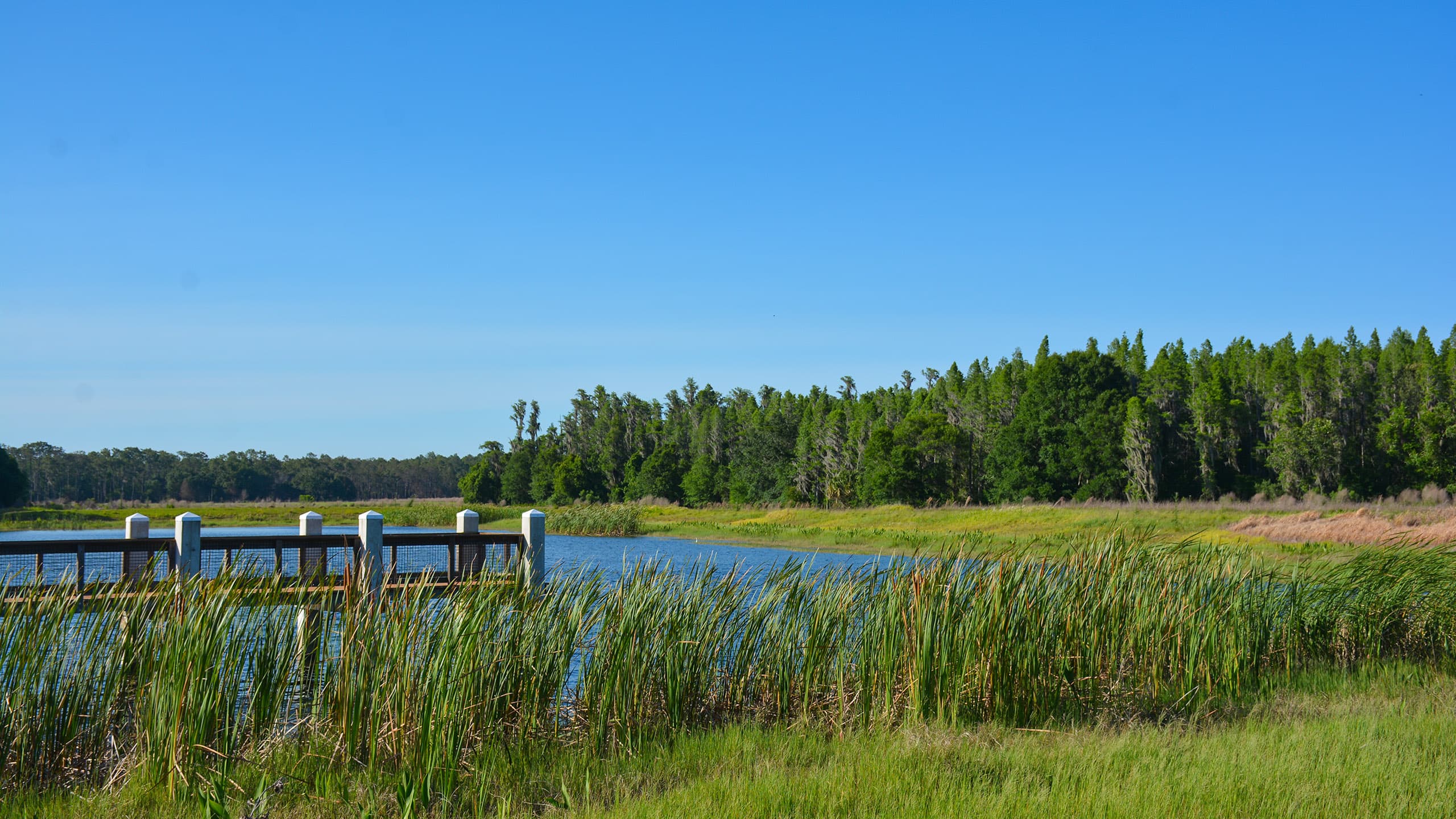 Colt street state park