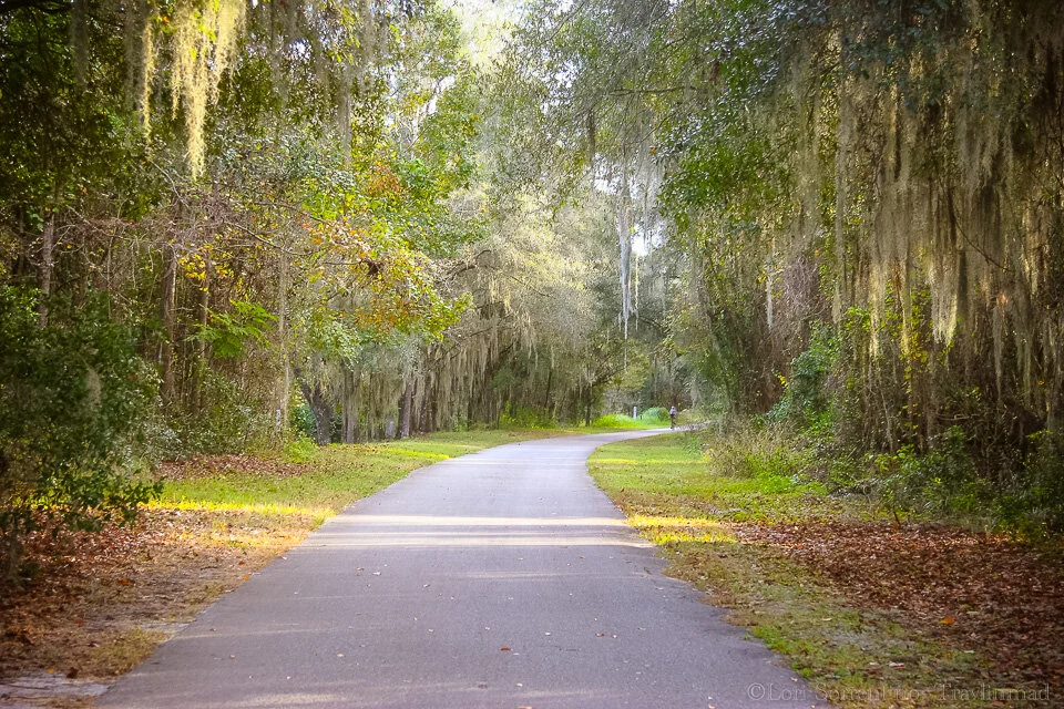 the best florida park to go on a dog walk